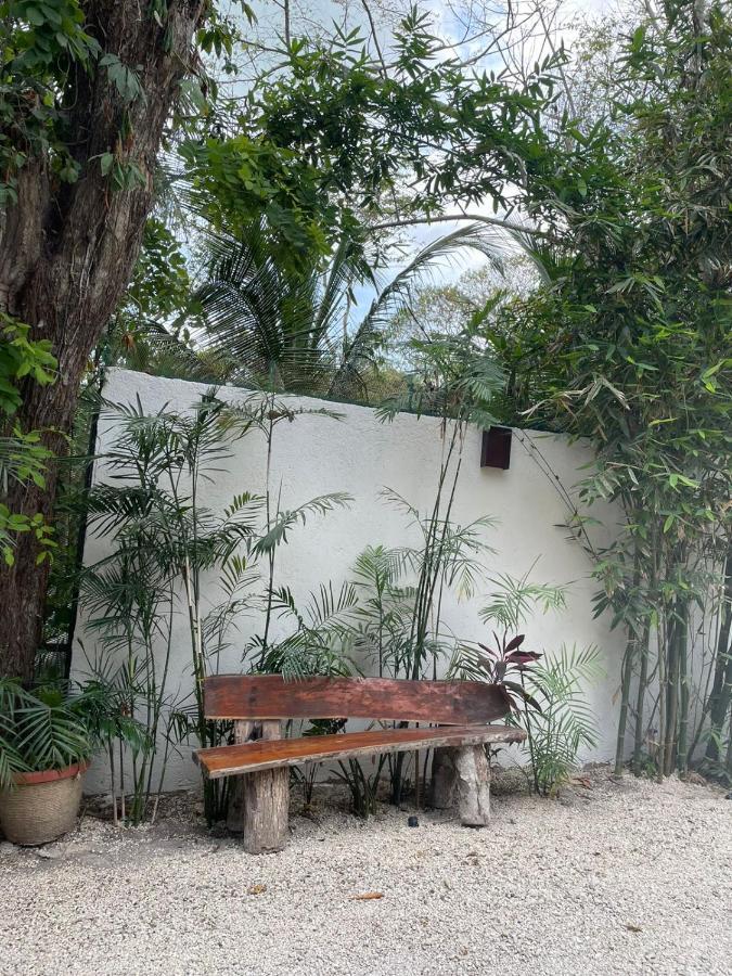 Hotel Diosa Del Agua Bacalar Exteriér fotografie